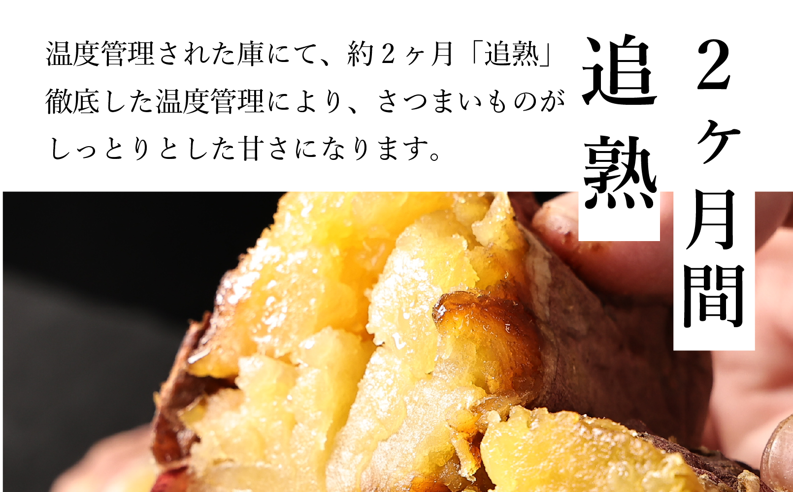 【先行予約】焼き芋　壺焼き　紅はるか　500g×2袋 1kg　　│ さつまいも サツマイモ さつま芋 甘い ホクホク 焼き芋 焼芋 焼いも