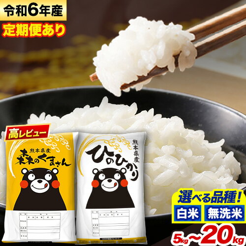 定期便 あり 無洗米 も選べる ひのひかり 10kg 5kg×2袋