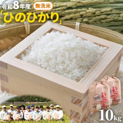 ふるさと納税 笠岡市 【令和8年産 先行受付】無洗米  ひのひかり 笠岡産 10kg 太陽の恵み O-07_10k_無洗米