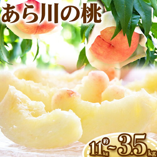 【ふるさと納税】【予約受付】選べる あら川の桃 約1.1kg ~ 3.8kg 室谷青果 《2025年6月下旬-8月中旬頃出荷》 和歌山県 紀の川市