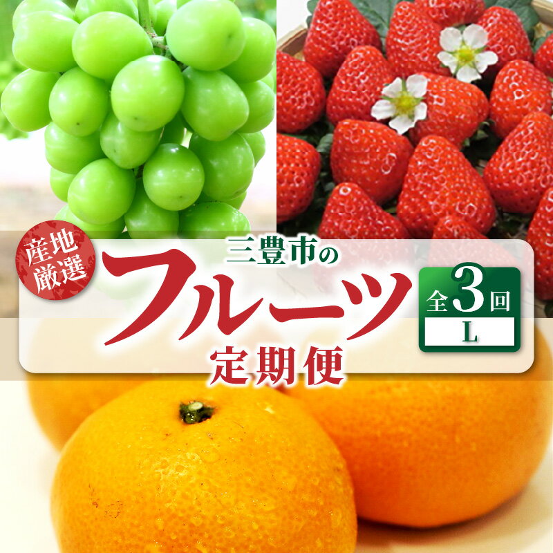 【ふるさと納税】 フルーツ 定期 さぬき ご当地 フルーツ定期便 3回 フルーツ シャインマスカット 1房 さぬきひめ 約250g 4パック いちご 苺 大きい 宮川早生みかん S〜Lサイズ 5kg 甘み 酸味 旬の季節 お取り寄せ 送料無料 香川県 三豊市 40,000円 台 返礼品 マミィギフト