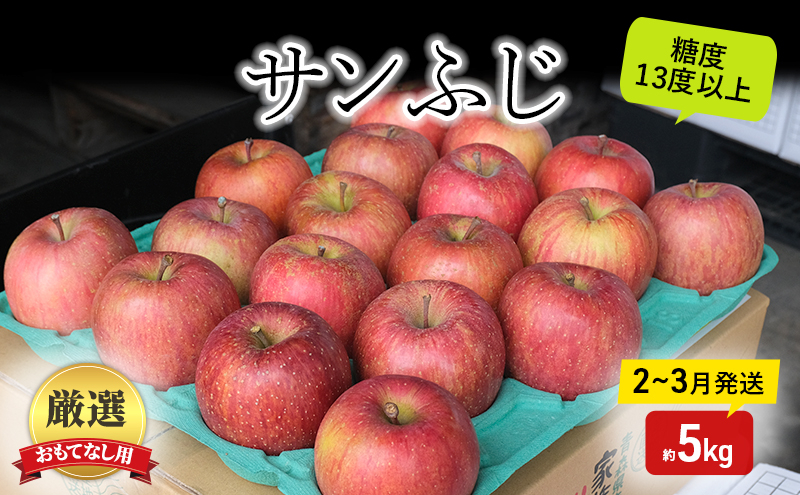 
            りんご 【2月～3月発送】 糖度13度以上 おもてなし用 サンふじ 約 5kg 【 弘前市産 青森りんご 】果物類 フルーツ 林檎 リンゴ 弘前市 青森県 おやつ デザート
          
