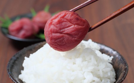 梅干し 大粒 1㎏ 塩分約8% しそ梅干し ご家庭用 【khs120】