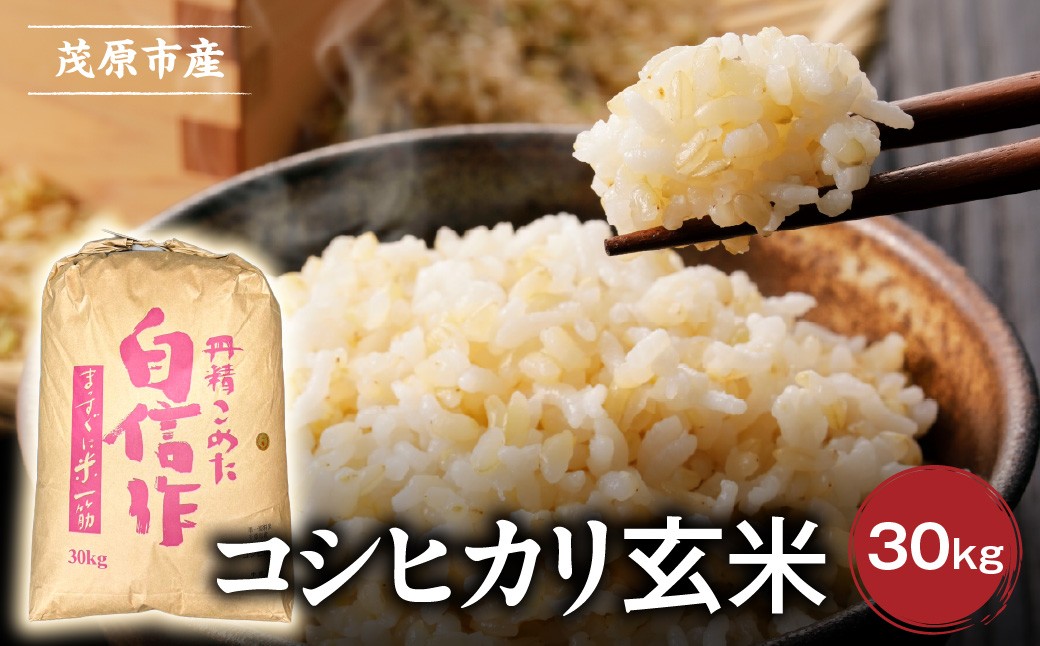 
                  千葉県茂原市産コシヒカリ　玄米30kg【 米 玄米 新米 コメ こしひかり 千葉県 茂原市 送料無料 ふるさと納税 】　MBAE009
                