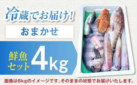 【五島列島・直送】朝獲れ！高級鮮魚セット4kg / 冷蔵 おまかせ おたのしみ 刺身 五島市 / 鯛福丸水産 [PDP003]