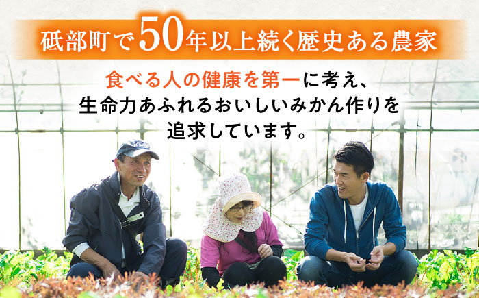 みかん 訳あり 愛果28号 サイズ不揃い 約3kg 約15玉【12月上旬から12月下旬まで順次発送】/ フルーツ 果物 蜜柑 ミカン オレンジ 訳あり 訳アリ 小玉 甘い 先行予約 3kg 愛媛 / 