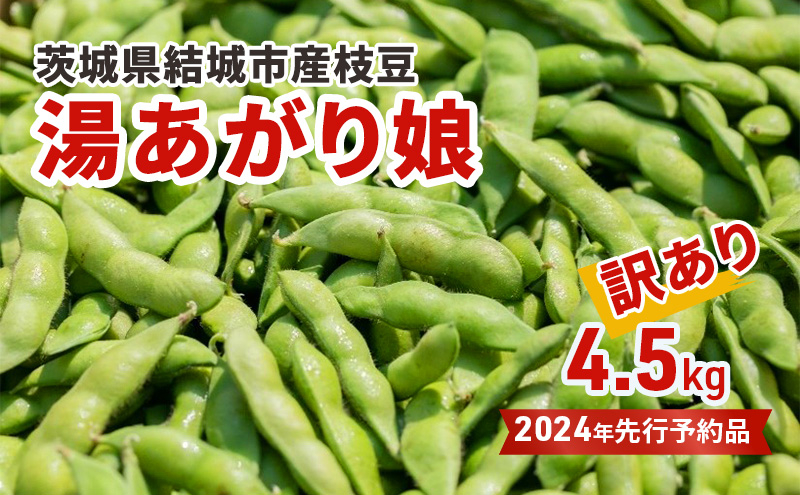 
先行予約 訳あり 茨城県結城市産枝豆「湯あがり娘」4.5kg（茶豆味） [№5802-0963]
