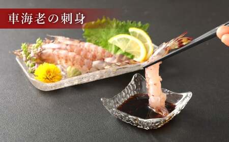 原点の車海老「急速冷凍」500g（16～20尾）（250g×2パック） 車海老 車えび くるまえび 急速冷凍 新鮮 お刺身 天ぷら 塩焼き 熊本県産 【2026年10月上旬より順次発送予定】