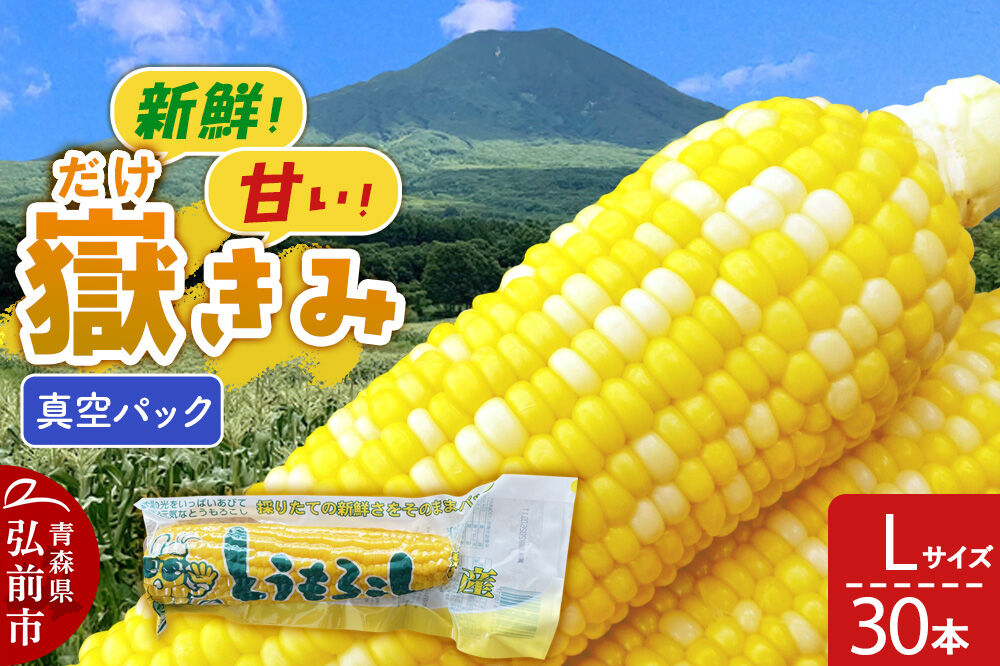 【26年10月中旬～発送】とうもろこし 嶽きみ真空パック Lサイズ 30本 しらかみラボ [先行予約 産地直送 嶽きみ コーン ブランド 真空パック おいしい 青森 野菜 だけきみ]