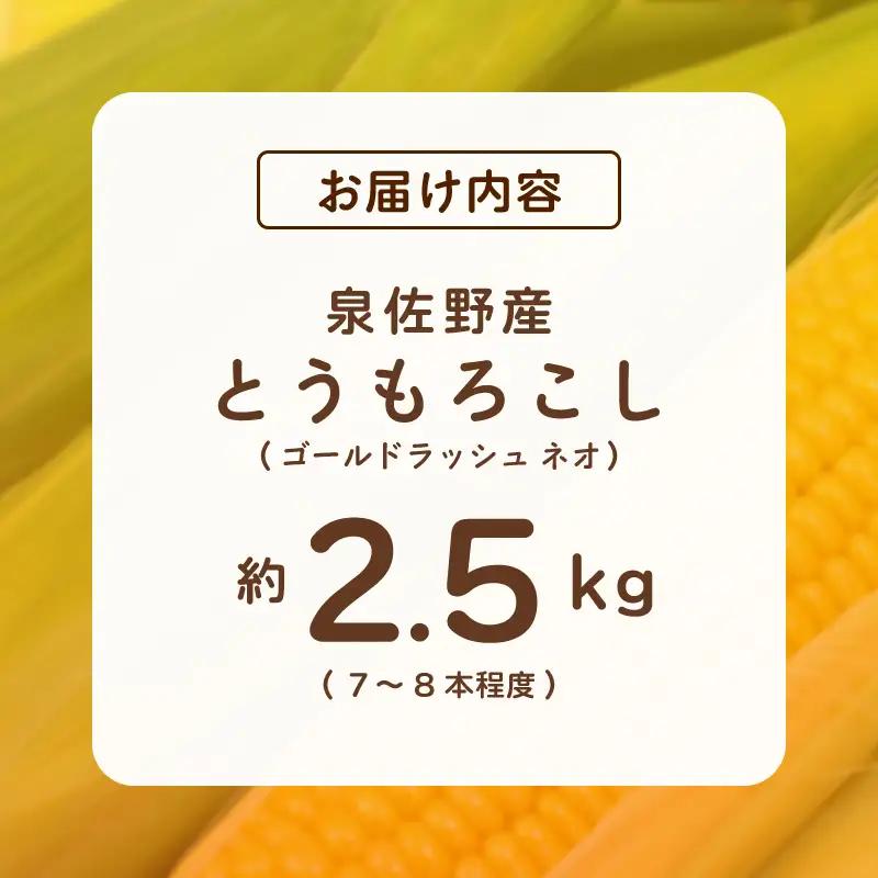 【先行予約】とうもろこし(ゴールドラッシュ ネオ) 約2.5kg（7～8本）