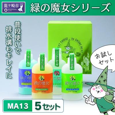 ふるさと納税 龍ケ崎市 緑の魔女ギフトセット(デパート専用品)MA13×5個セット【沖縄・離島配送可能】