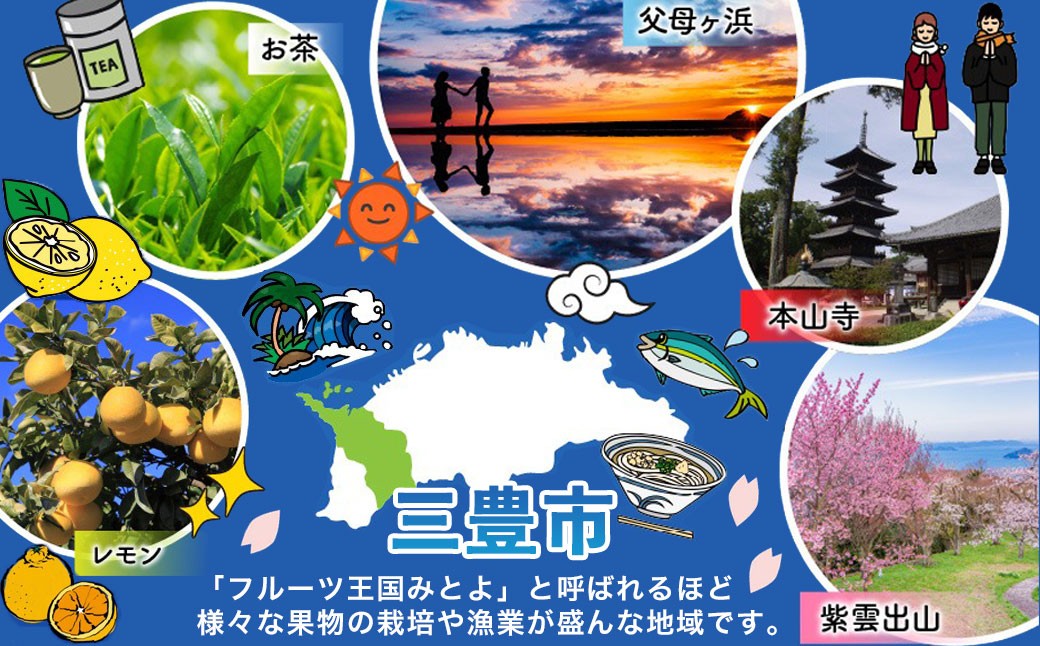 
                  讃岐の奇跡！特秀品！小原紅早生真っ赤なみかん（約3kg）
                