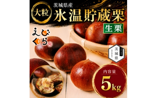 生産者直送 茨城県産 海老澤農園の氷温熟成栗5kg 生栗 大玉 薬剤不使用【1745648】