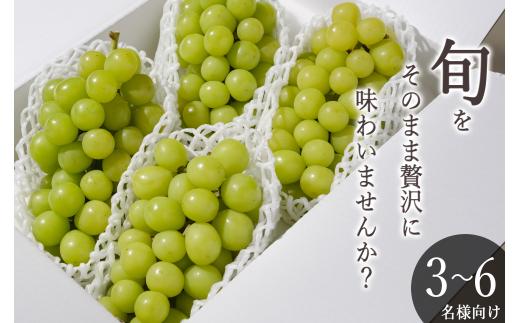 ＜先行予約2026年＞笛吹市産 シャインマスカット 4~5房入(約2.2kg)  193-018