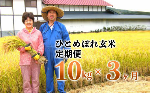 
                  【3ヶ月定期便】減農薬栽培 ひとめぼれ 玄米 10kg（5kgx2袋） 【1111】
                