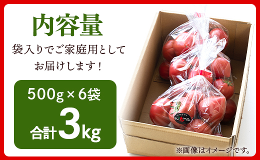 家庭用 野菜ソムリエが育てた フルーツトマト 500g×6袋 合計3kg - 野菜 とまと 産地直送 料理 アレンジ サラダ 完熟 甘い あまい フレッシュ さっぱり 酸味 うしの恵 小分け おいしい