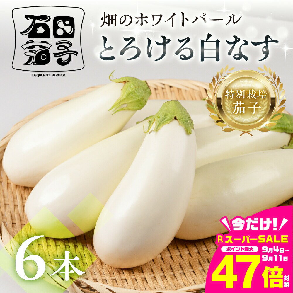 【ふるさと納税】≪TVで話題！≫白茄子 6本 ナス 茄子 なす なすび 白なす しろなす 白ナス 白茄子 野菜 旬 旬の野菜 糖度 石田茄子 お取り寄せ 健康 夕飯 おかず 愛知県 豊橋市 1万円 10000円