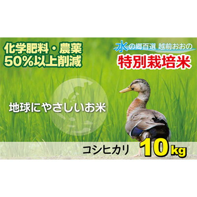 【ふるさと納税】【先行予約】【令和7年産 新米】こしひかり 10kg【白米】減農薬・減化学肥料 「特別栽培米」−地球にやさしいお米−　【お米・コシヒカリ】[A-003008]