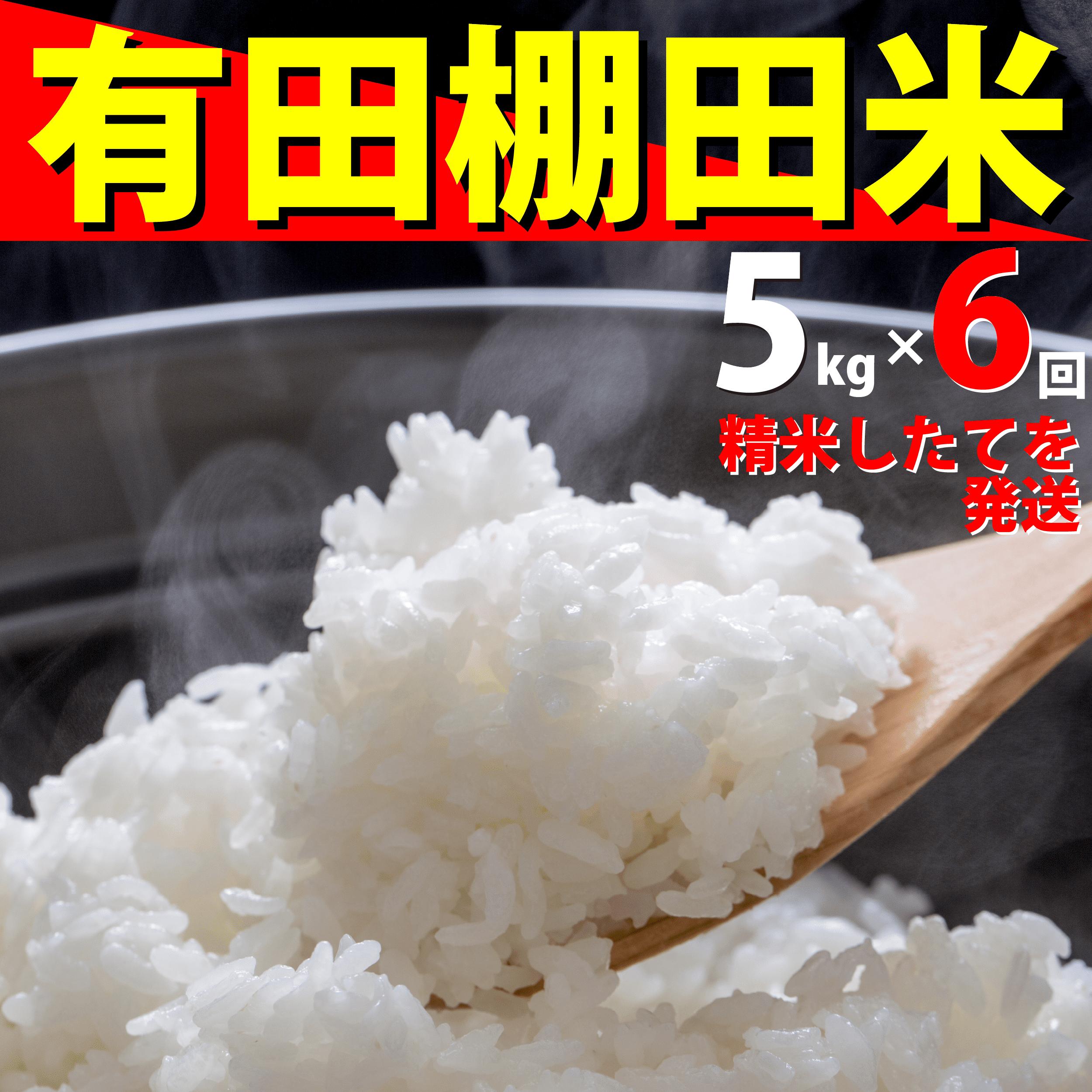 
                  ＜予約受付＞『10月下旬より順次発送』『数量限定』令和8年産 有田 棚田米 5kg<6回定期便> 合計 30kg【みゆきファーム】米 5kg 精米済 白米 定期便 減農薬 organic 棚田米 有田町 令和8年度産 新米 ft003
                