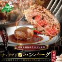 【ふるさと納税】【 年6回 ハンバーグ 定期便 6ヶ月 連続 定期 】「 別海 牛 チョップドイン はんばーぐ 100g×6個 」× 6回 配送（ ふるさと納税 ハンバーグ 訳あり ハンバーグ ふるさと納税 訳あり 牛100% 牛肉100% 牛肉 牛 肉 北海道 国産 6 6ケ月 6ヵ月 6カ月 6か月 ）