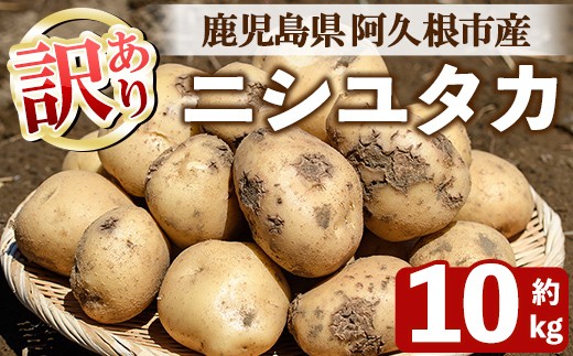 
                  ＜先行予約受付中！2026年6月以降順次発送予定＞訳あり！じゃがいも ニシユタカ(10kg) 国産 鹿児島県産 阿久根市産 じゃがいも ジャガイモ 芋 ポテト にしゆたか 訳アリ 野菜 ポテトサラダ コロッケ 常温 常温配送 【慶越農園】akn107-07
                