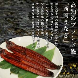 KGP067　高知ブランド鰻「西岡うなぎ」《超特上》うなぎの蒲焼き8尾セット (約1760g) オリジナルタレ 山椒付き 国産 ウナギ 鰻 真空パック 冷凍配送 高知県産 うな重 丼 熨斗対応 ギフト