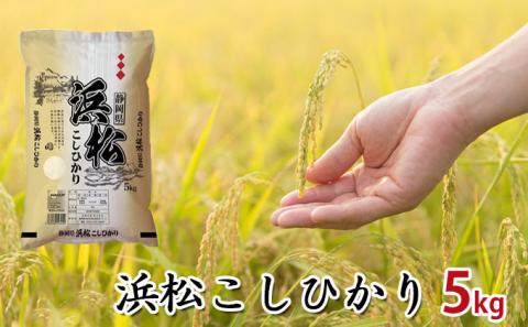 【令和7年度産】静岡県浜松市産米　『浜松こしひかり』精米5kg お米 コシヒカリ