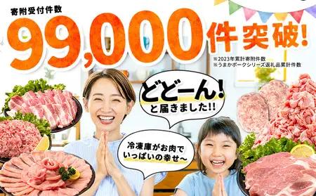 豚肉 バラエティセット 4.6kg 豚肉 バラ肉 訳あり