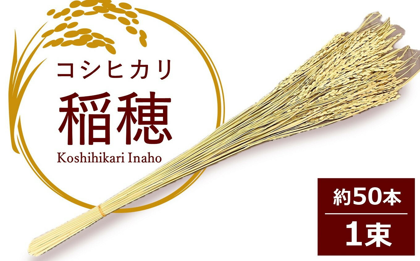【ふるさと納税】コシヒカリの稲穂 飾り素材 インテリア用【 新潟県 柏崎市 】