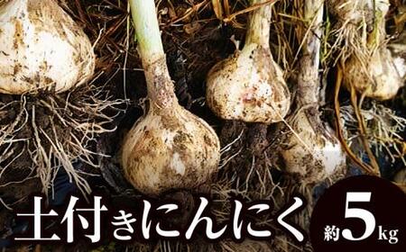 土付きにんにく 約5kg【2026-5月上旬～2026-6月中旬配送】| にんにく