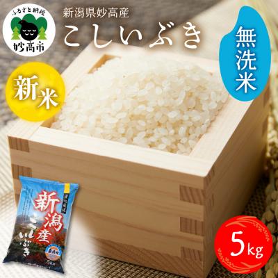 ふるさと納税 妙高市 【2025年12月上旬発送】令和7年産 新潟県妙高産こしいぶき5kg無洗米