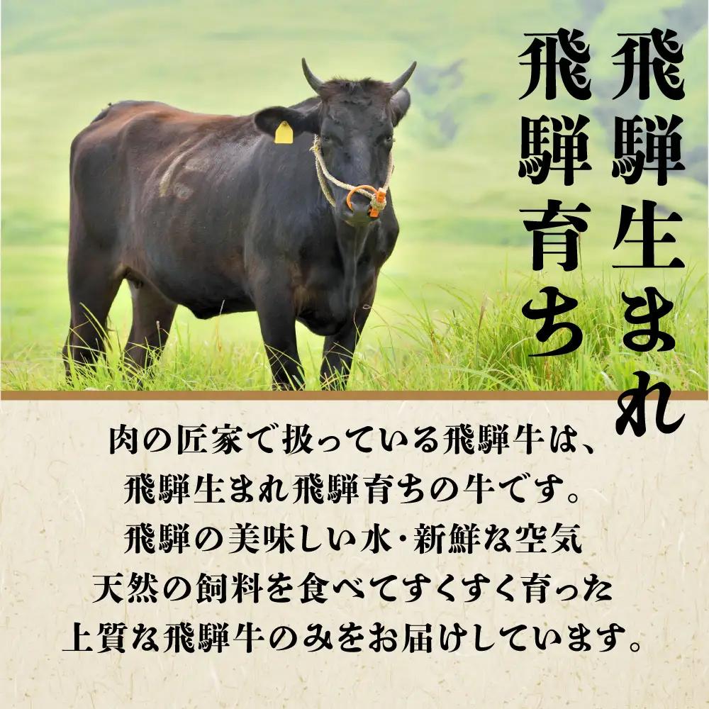 飛騨牛 定期便 3カ月 ( ステーキ すき焼き 焼肉 ) ヒレ 飛騨牛 定期便 BV101