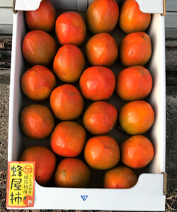 ＜先行受付＞蜂屋柿　約6kg 【2025年10月下旬以降順次発送】【柿　かき　カキ　蜂屋柿　蜂屋かき　蜂屋カキ　柿先行予約　かき先行予約　カキ先行予約　かき　柿　カキ】