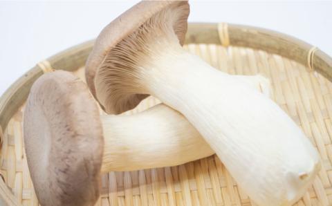 【12回定期便】きのこ定期便 厳選セット 4品目「12回（毎月）」お届け  特選キノコ 詰め合わせ きのこ きのこセット / 南島原市 / 吉岡青果 [SCZ015]