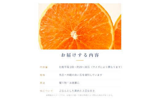 愛果28号 ( 紅まどんな と同品種 ) 化粧平箱 2箱 【2026年11月下旬より順次発送】 | あいか 愛媛みかん ミカン 蜜柑 まどんな フルーツ 柑橘 果物 ギフト 贈り物 おすすめ 贈答 高