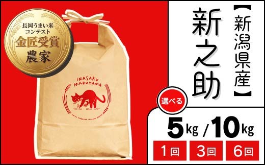 
                  新潟県長岡産 新之助 新米 令和8年産 先行予約 5kg 10kg 単品 定期便 3か月 6か月 3ヶ月 6ヶ月 稲作まる山 L4-8S
                