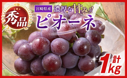【令和9年発送 先行予約】小林市産 ピオーネ 1kg（ぶどう ブドウ ピオーネ フルーツ 果物 くだもの 先行受付 限定）