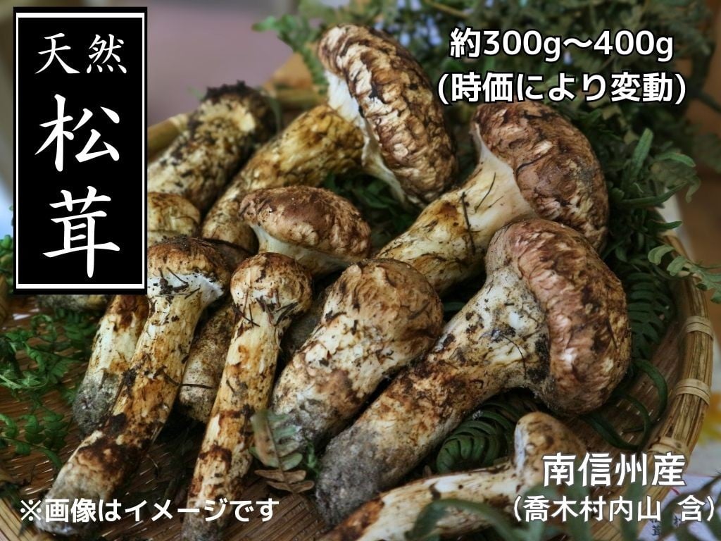 
            7-F01　松茸
          