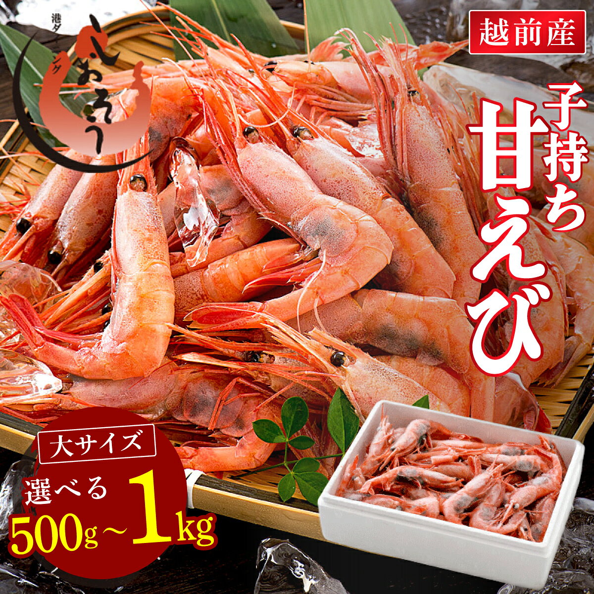 【ふるさと納税】福井県敦賀産 甘えび・子持ち 大サイズ 約500g / 1kg（約40～90尾）【送料無料】【しおそう 塩荘 あまえび アマエビ 甘エビ 刺身 生 生食 冷凍 500g 1kg 10000円 お中元 お歳暮 ギフト 贈り物 プレゼント 新規】