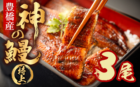 うなぎの新ブランド、開幕。『神の鰻』3尾 国産 特上 鰻