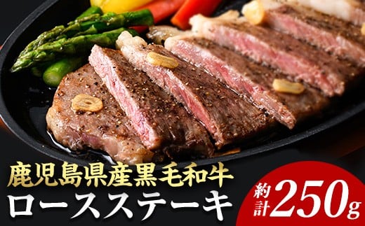 ＜14営業日以内に発送！＞＜1枚・計約250g＋ハンバーグ1個＞4等級以上！鹿児島県産黒毛和牛ロースステーキ1枚セット 黒毛和牛 ステーキ 冷凍【ナンチク】B1-00