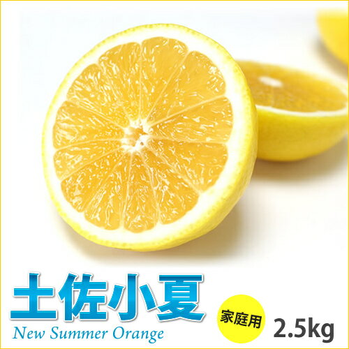 【ふるさと納税】高知産　ご家庭用「土佐小夏」約2.5kg（期間限定品）(土佐市)