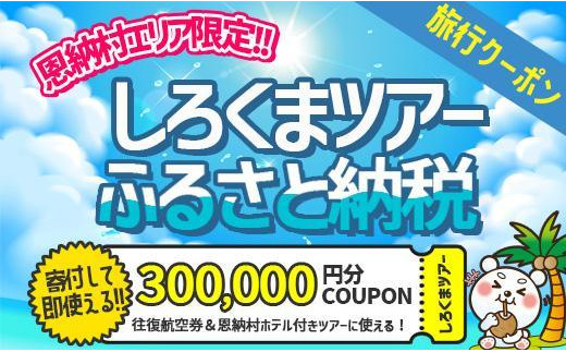 
【恩納村】しろくまツアーで利用可能なWEB旅行クーポン（300,000円分）
