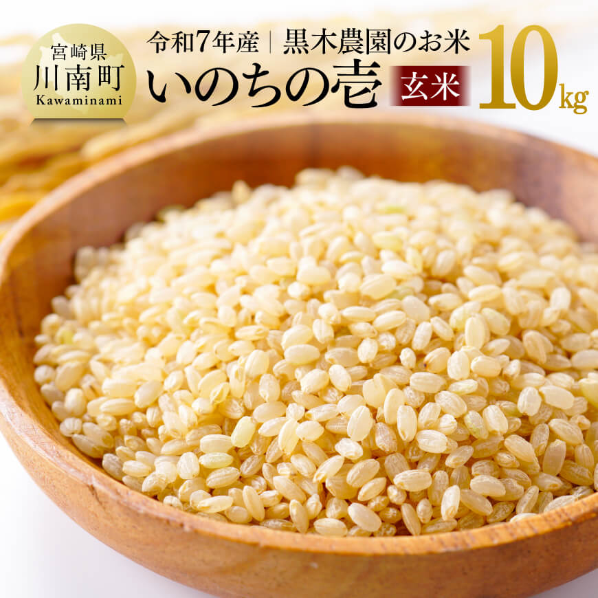 【ふるさと納税】【令和7年産】黒木農園のお米「いのちの壱(玄米)」10kg - 米 お米 玄米 国産 九州産 宮崎県産 いのちのいち おにぎり C03220