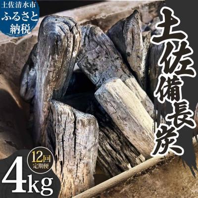 ふるさと納税 土佐清水市 定期便 土佐備長炭 4kg×12回 木炭 アウトドア バーベキュー BBQ 炭火焼き【J00184】