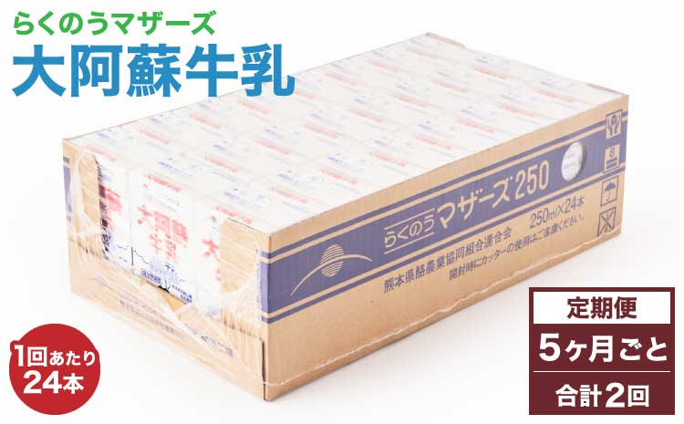 
            【5ヶ月毎2回定期便】 牛乳 大阿蘇牛乳 250ml 計48本
          
