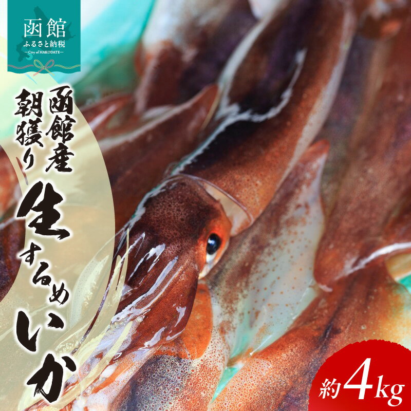 【ふるさと納税】函館産 朝獲り 生するめいか 約 4kg 前後 季節限定 コリッコリ イカ 生いか スルメイカ いか刺し 函館名物 地元食材 国産 魚介類 冷蔵 イチヨ水産 北海道 函館 送料無料 お取り寄せグルメ