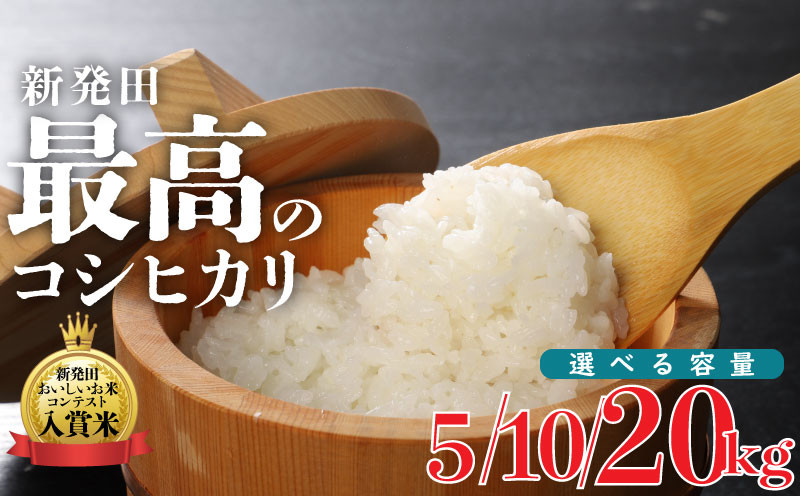 
            令和6年産 新潟県産コシヒカリ 5kg しばた最高のコシヒカリ  新発田のおいしいお米コンテスト入賞米 長期保存 備蓄 真空 新潟 新潟県 米 5kg  入賞米 コシヒカリ 最高 コンテスト 新発田産 D51_01P 
          