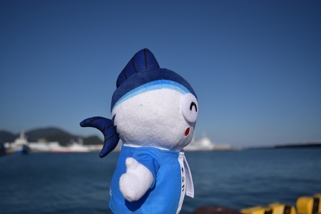 a10-550　焼津 ゆるきゃら やいちゃん ぬいぐるみ