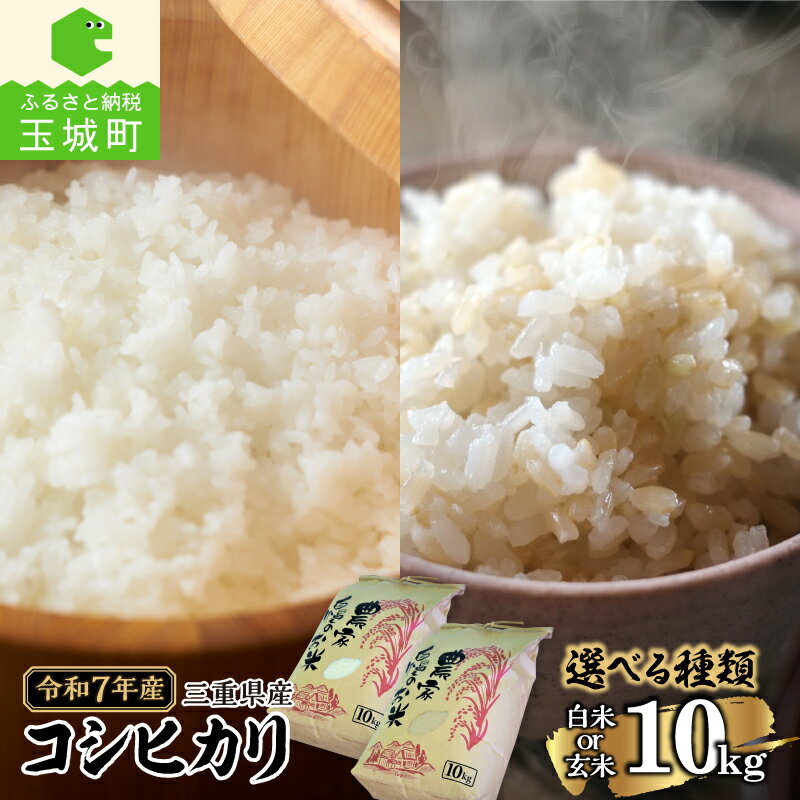 【ふるさと納税】令和7年産 コシヒカリ 選べる 白米 玄米 農家直送 10kg 2025年産 米 精米 ご飯 お弁当 おにぎり 数量限定 ギフト 贈答 備蓄米 非常用 北村裕 三重県 玉城町